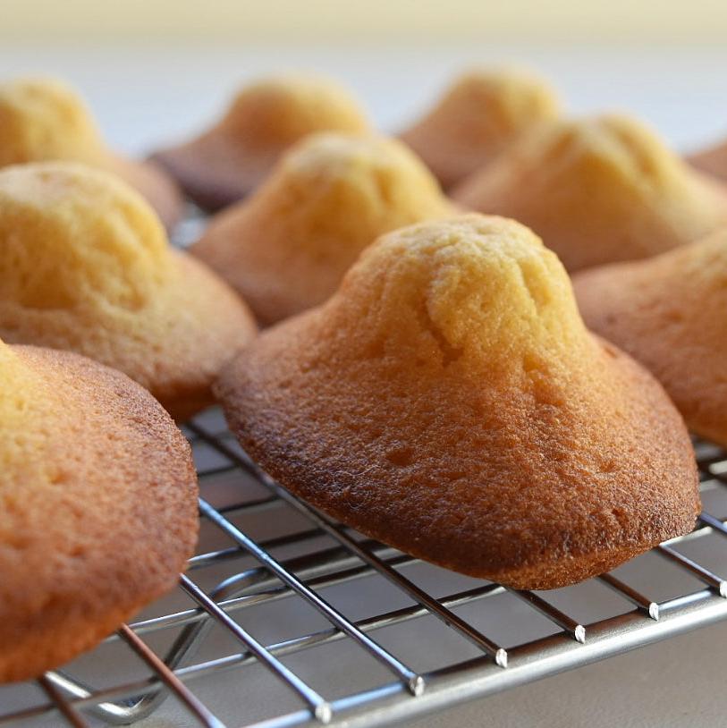 Madeleines